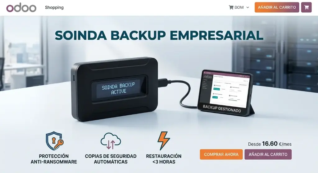Copias de seguridad gestionadas · Pack 200 GB (anual)