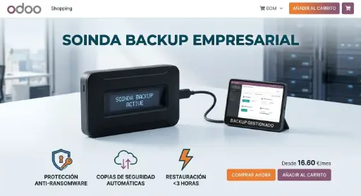 Copias de seguridad gestionadas · Pack 200 GB (anual)